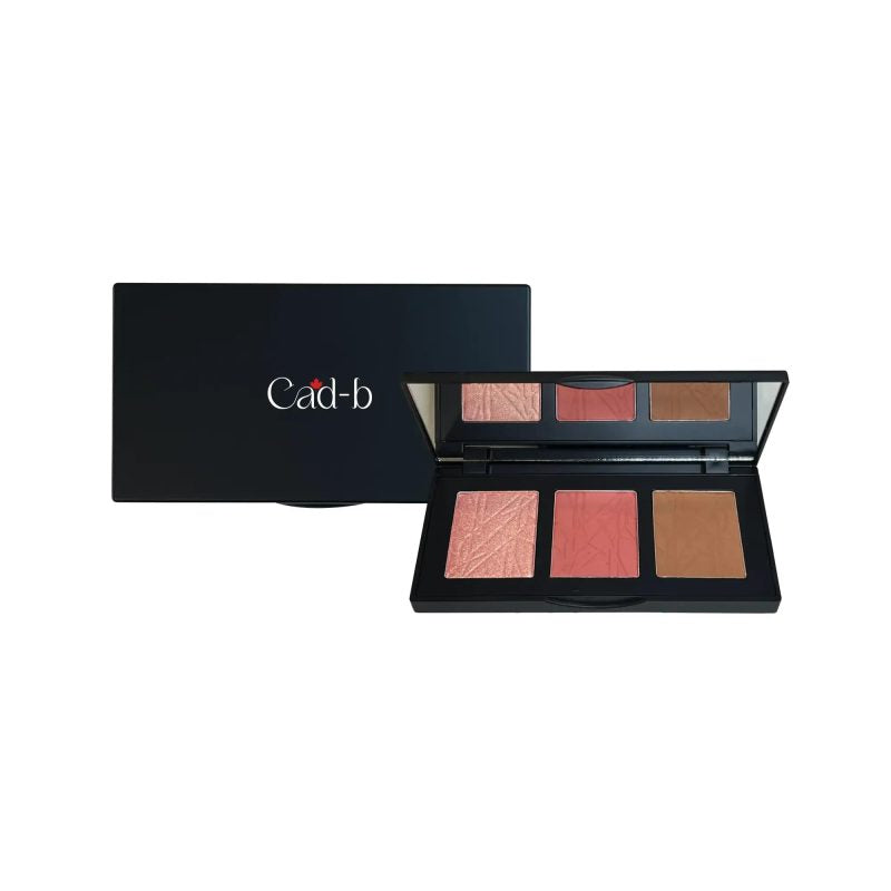 Pro Cheek Palette in both Matte and Shimmer Shades – Curious – PCP52