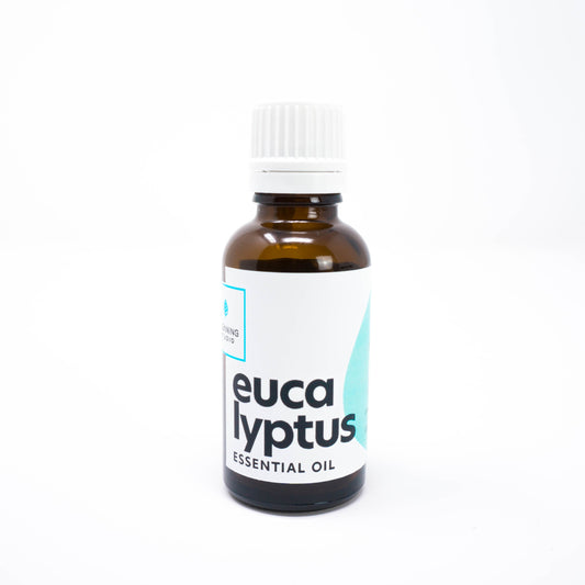 Eucalyptus Essential Oil