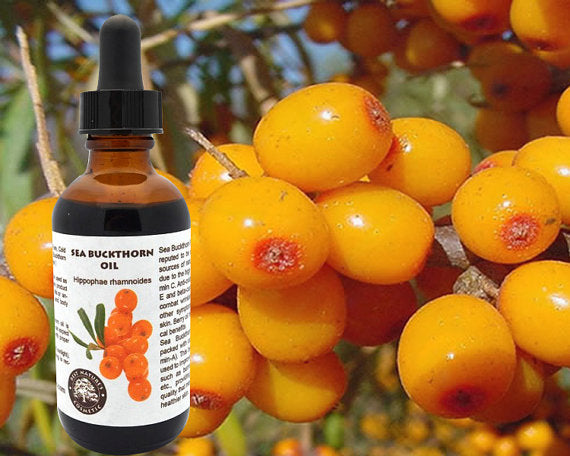 100% Pure Sea Buckthorn Fruit, Berry Oil 1oz - 4oz