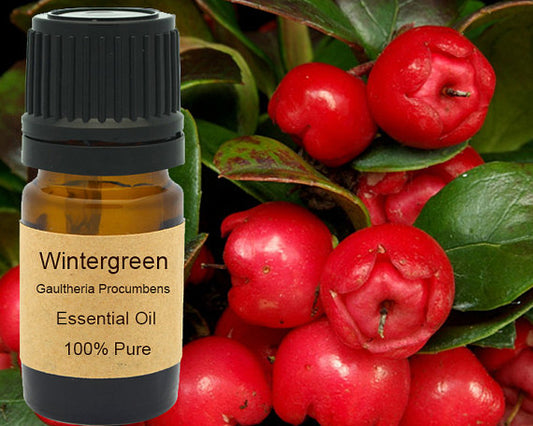 Wintergreen Essential Oil  15ml