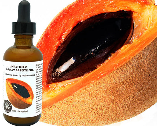 Virgin Mamey Sapote (Sapuyulo) Oil (organic,